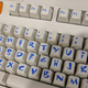 Illustration for article titled Build-A-Bear Have Some Great Keyboards